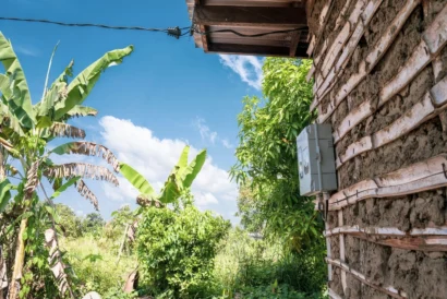 perace-fondRev (14)W-