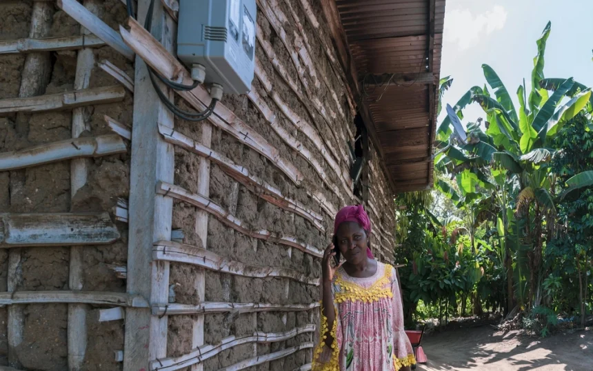 perace-fondRev (5)W-