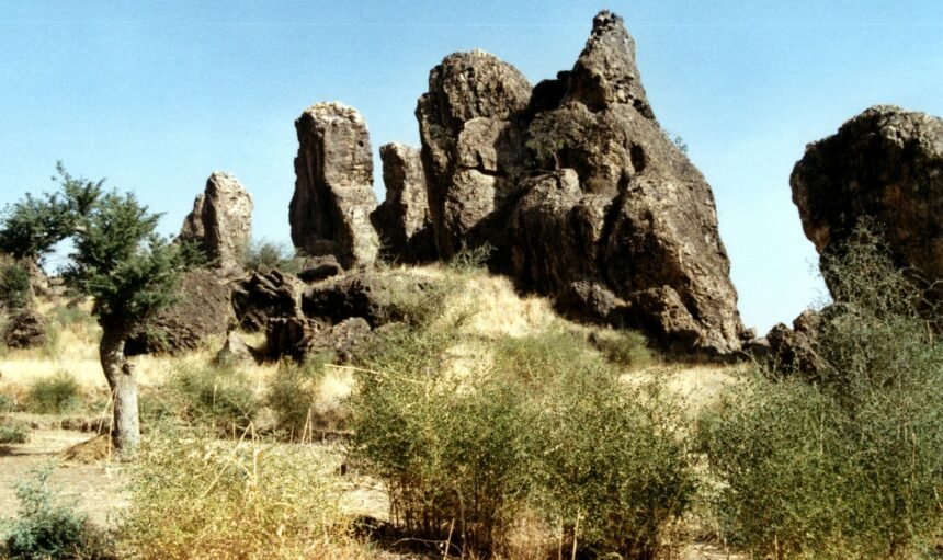 regoin de lextreme nordW-